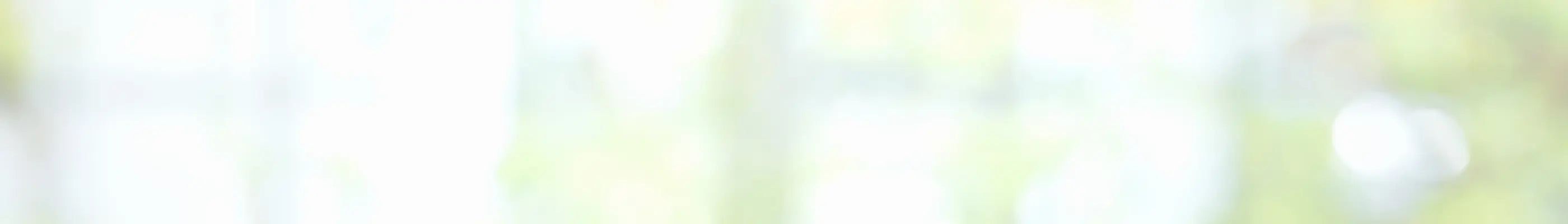 Hero Banner der Homepage vom Zwergenstark Online-Shop